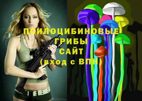 apvp Карталы