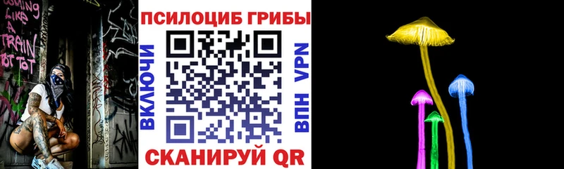 Купить  Ефремов  Галлюциногенные грибы Magic Shrooms 